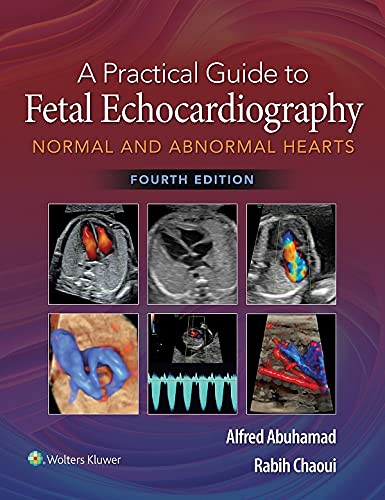 A Practical Guide to Fetal Echocardiography: Normal and Abnormal Hearts  4th Edition