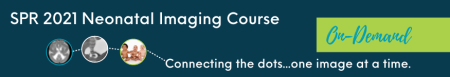 SPR 2021 Neonatal Imaging Course (On-Demand) (Videos)